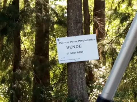 Arroyo Caraguatá 300