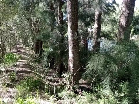 Fracción en venta en Arroyo Caraguata