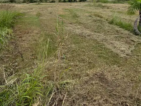 Terreno en Venta de 13000,0 m2