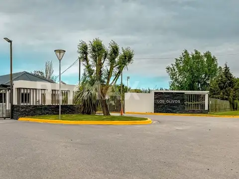 Ex Ruta 234 100