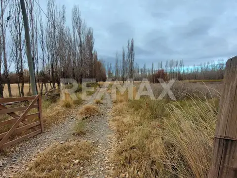 VENTA CHACRA 5,42 HA - SENILLOSA