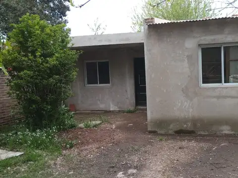 Pueyrredon 100