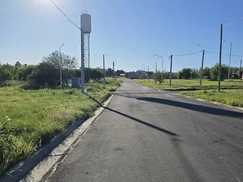 Los Nogales 400, Piso 0