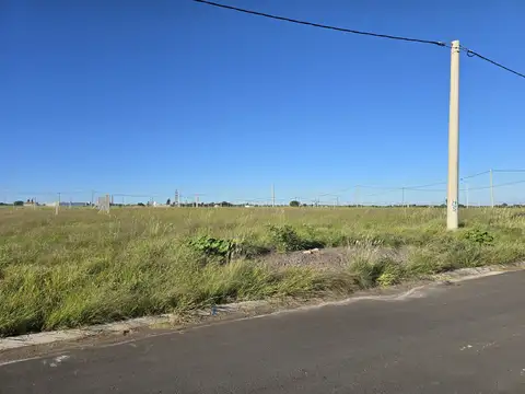 Terreno en Venta 25  mts Fondo
