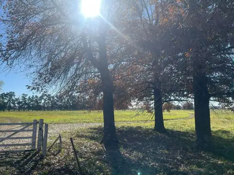LOTES ZELAYA PILAR, BARRIO ABIERTO TODOS LOS SERVICIOS