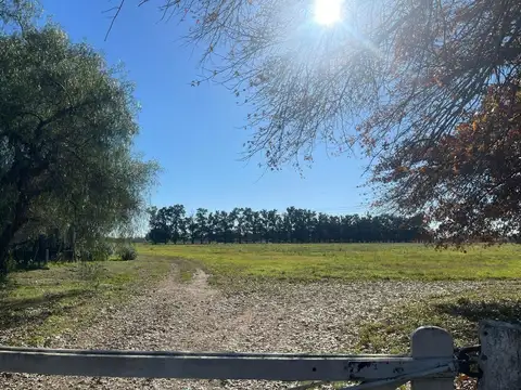 Terreno en Venta de 375,0 m2