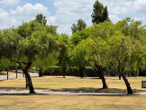 VENTA LOTE PILAR DEL ESTE SANTA GUADALUPE