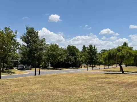 Avenida Parque