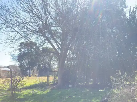 Casa Monoambiente con 1 baño
