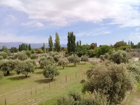 Terreno en Venta de 580,0 m2