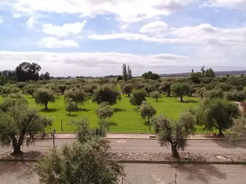 Terreno en Venta en Lunlunta, USD 40.000