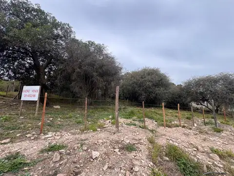 Terreno en Venta 10  mts Frente