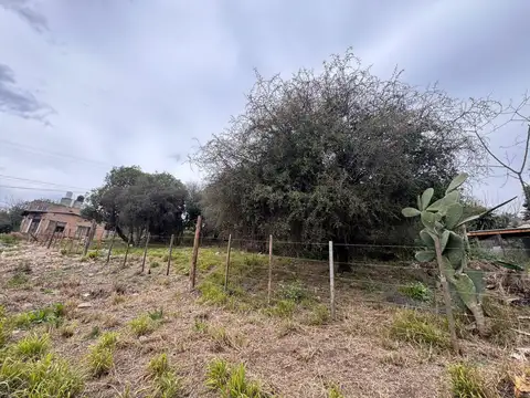 Terreno en Venta 30  mts Fondo