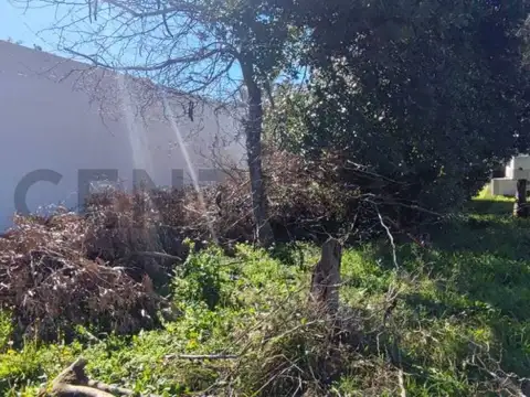 44 y 161 100, Piso 0
