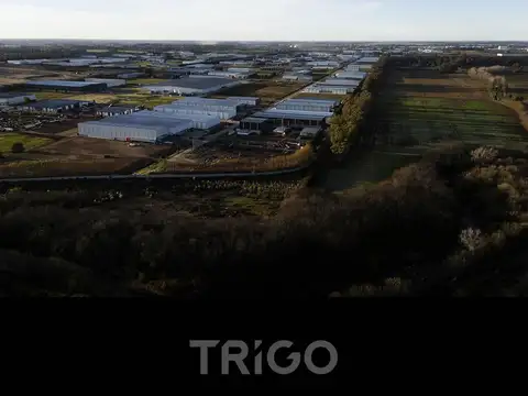 TRIGO INMUEBLES INDUSTRIALES - PARQUES INDUSTRIALES EN TODAS LAS ZONAS DEL AMBA