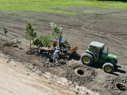 Terreno en Venta de 1000,0 m2