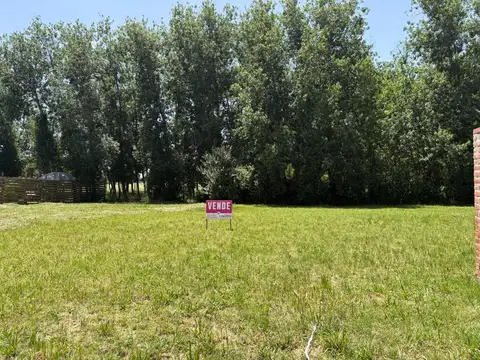 Terreno en Venta 12  mts Frente