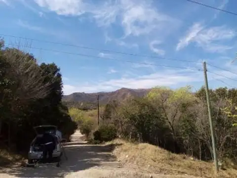 Bengolea