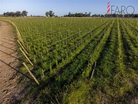 A 10 minutos del Faro de José Ignacio