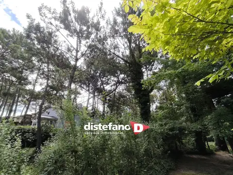 Terreno en Venta 15  mts Frente