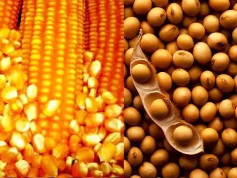 POTENCIAL INMOBILIARIO