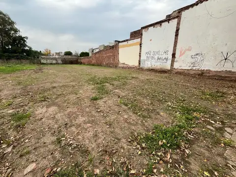 Ramon Raimundo 300