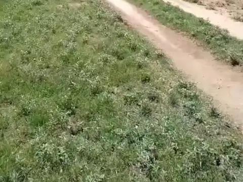 Terreno en Venta de 1000,0 m2