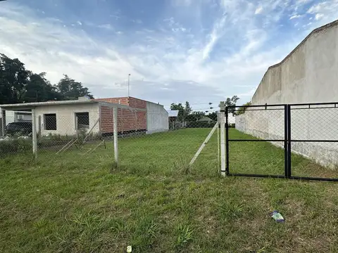 Terreno 149  y 523 . Escritura directa