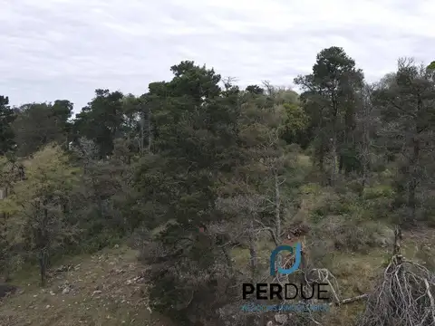 potrero de garay  1