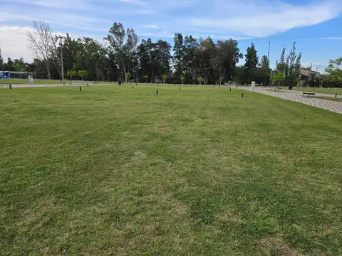 Terreno en Alquiler 25  mts Fondo