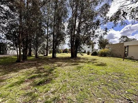 Terreno en Venta de 842,0 m2