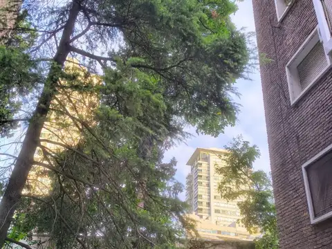 Departamento en Alquiler en Las Cañitas, USD 750