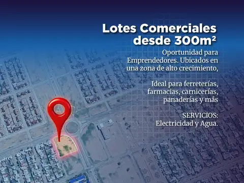 Avenida Lafinur Sur