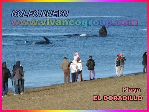 Las Calandrias y Choique 600