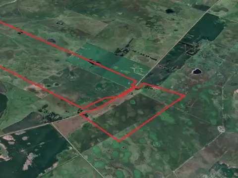 Campo mixto 2 parcelas contiguas de 398 hectáreas en Gral.Alvear