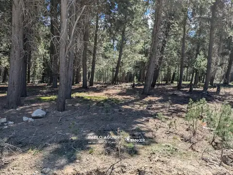 Club De Campo Dos Valles A04