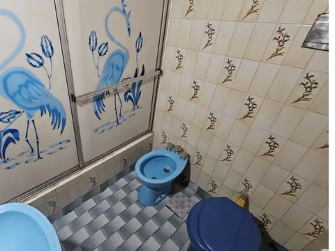 CASA SOBRE GRAN LOTE 8,66 X 60 MTS CON DOS DEPARTAMENTOS, FONDO LIBRE Y SALIDA A DOS CALLES