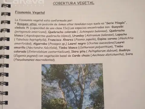 Terreno en Venta de 11500000,0 m2