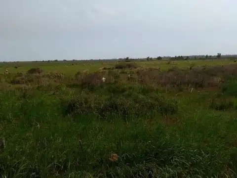 CAMPOEN VENTA APTO PARA DESARROLLO INMOBILIARIO