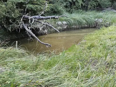 Terreno en Venta 34  mts Fondo