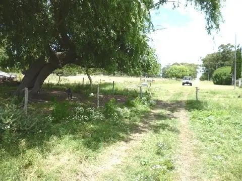 Terreno en Venta de 14000,0 m2