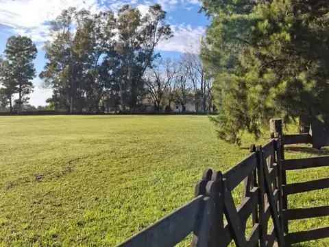 Venta de 1 hectarea con construcción y pileta - Guernica