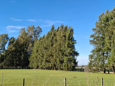 Quinta en Venta en Guernica, USD 120.000