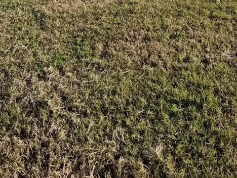 Terreno en Venta de 902,0 m2