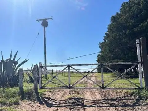 Campo en venta - 521 Hectáreas - La Pampa