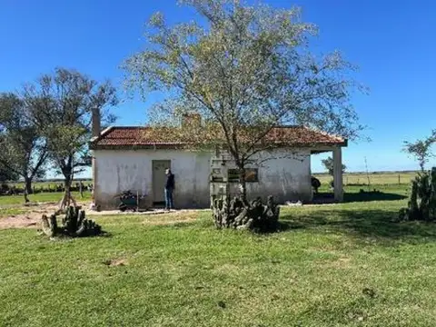 Campo en venta - 521 Hectáreas - La Pampa