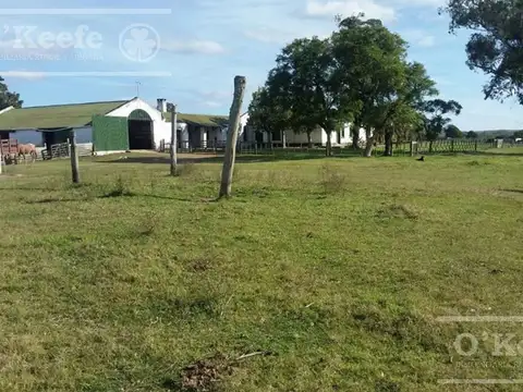 Campo en venta de 1675 has Cerro Largo, Uruguay