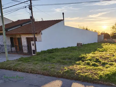 Lote . | Uruguay al 900