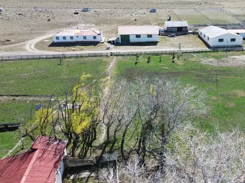 Campo en el centro de Santa Cruz