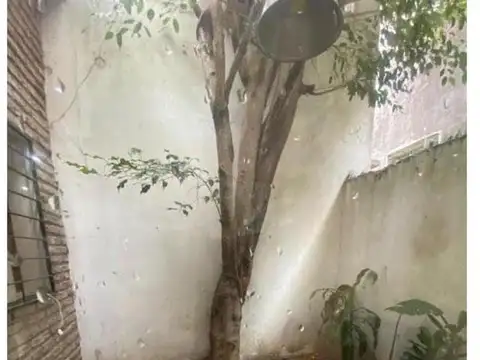 Casa en Alquiler 50 años